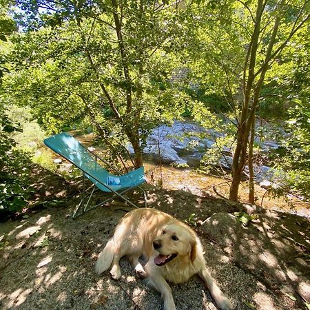 Maison Les Pieds Dans L'Eau Villefort (Lozere) Exterior foto
